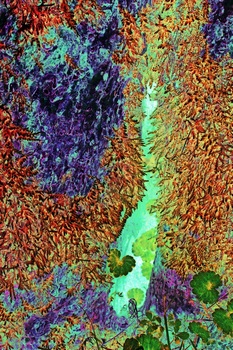 N 134A